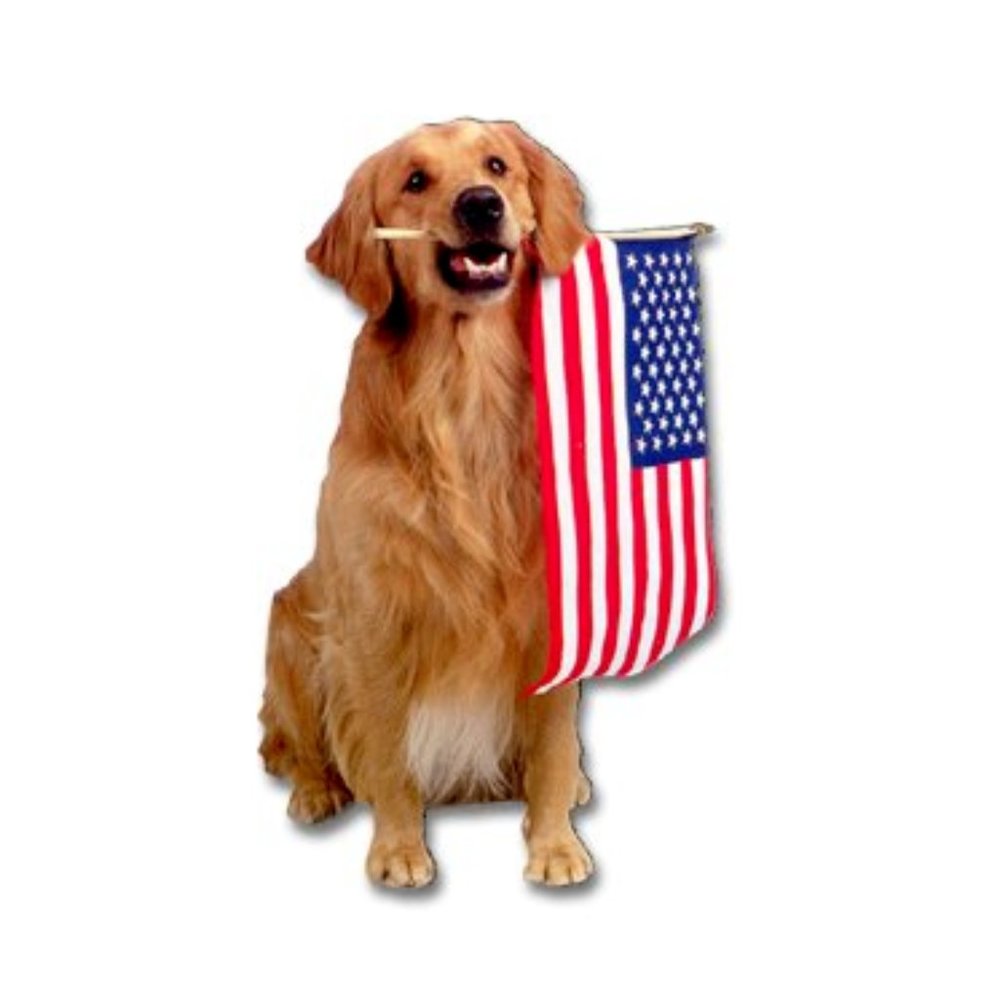 Paper House Golden Retriever with American Flag Magnet